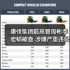 康佳集团前高管周彬李宏韬被查 涉嫌严重违纪违法(图4) 康佳集团前高管周彬李宏韬被查 涉嫌严重违纪违法(图4)