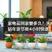 家电买回家要多久？天猫年货节推4小时快送服务（图4）