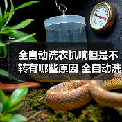 全自动洗衣机响但是不转有哪些原因 全自动洗衣机响但是不转解决方法【详解】(图3) 全自动洗衣机响但是不转有哪些原因 全自动洗衣机响但是不转解决方法【详解】(图3)