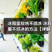 冰箱里放啥不结冰 冰箱里不结冰的方法【详解】(图2) 冰箱里放啥不结冰 冰箱里不结冰的方法【详解】(图2)