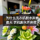 为什么洗衣机脱水声音很大 衣机脱水声音很大解决方法【详解】
