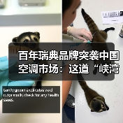百年瑞典品牌突袭中国空调市场:这道“峡湾风”能吹热存量寒冬吗?(图4) 百年瑞典品牌突袭中国空调市场:这道“峡湾风”能吹热存量寒冬吗?(图4)