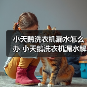 小天鹅洗衣机漏水怎么办 小天鹅洗衣机漏水解决方法【详解】