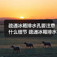 疏通冰箱排水孔要注意什么细节 疏通冰箱排水孔的注意细节介绍【介绍】