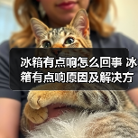 冰箱有点响怎么回事 冰箱有点响原因及解决方法【详解】