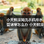 小天鹅滚筒洗衣机排水管堵塞怎么办 小天鹅滚筒洗衣机排水管堵塞解决方法【详解】(图2) 小天鹅滚筒洗衣机排水管堵塞怎么办 小天鹅滚筒洗衣机排水管堵塞解决方法【详解】(图2)