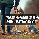 怎么清洗洗衣机 清洗洗衣机小苏打和白醋的正确方法【注意事项】(图4) 怎么清洗洗衣机 清洗洗衣机小苏打和白醋的正确方法【注意事项】(图4)
