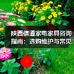 陕西信通家电家具咨询指南:选购维护与常见问题解析(图3) 陕西信通家电家具咨询指南:选购维护与常见问题解析(图3)