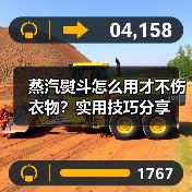 蒸汽熨斗怎么用才不伤衣物？实用技巧分享