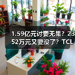 1.59亿元讨要无果？2352万元又要没了？TCL智家一审败诉，10天内需支付相关款项及滞纳金（图3）