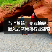 当“蒸箱”变成抽屉:嵌入式蒸烤箱行业能否被14.1厘米改变?(图4) 当“蒸箱”变成抽屉:嵌入式蒸烤箱行业能否被14.1厘米改变?(图4)