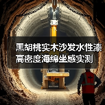 黑胡桃实木沙发水性漆高密度海绵坐感实测（图3）