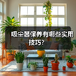 吸尘器保养有哪些实用技巧?(图2) 吸尘器保养有哪些实用技巧?(图2)