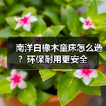 南洋白橡木童床怎么选?环保耐用更安全(图3) 南洋白橡木童床怎么选?环保耐用更安全(图3)