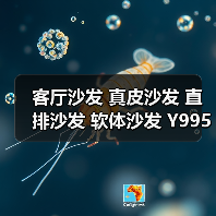 客厅沙发 真皮沙发 直排沙发 软体沙发 Y9956#郁金色 直排2.98米（图4）