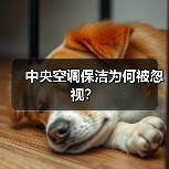中央空调保洁为何被忽视?(图2) 中央空调保洁为何被忽视?(图2)
