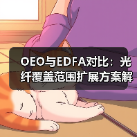 OEO与EDFA对比:光纤覆盖范围扩展方案解析(图4) OEO与EDFA对比:光纤覆盖范围扩展方案解析(图4)