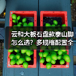 云和大板石盘款泰山脚怎么选？多规格配置全解析（图2）