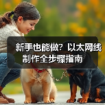 新手也能做？以太网线制作全步骤指南