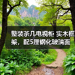 整装茶几电视柜 实木框架，配5厘钢化玻璃面 茶几1.3*70 电视柜2*40（图4）