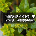 智能家居行业知识：常见场景、选择要点与注意事项2026